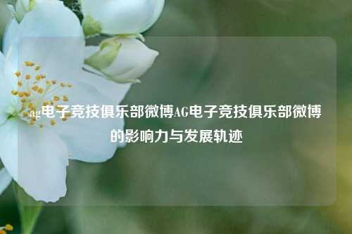 ag电子竞技俱乐部微博AG电子竞技俱乐部微博的影响力与发展轨迹