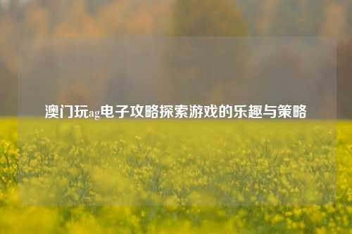 澳门玩ag电子攻略探索游戏的乐趣与策略