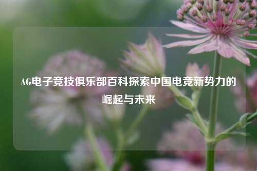 AG电子竞技俱乐部百科探索中国电竞新势力的崛起与未来