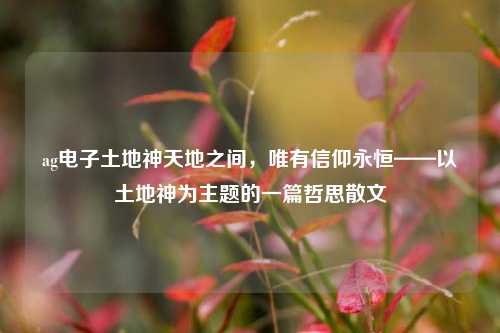 ag电子土地神天地之间，唯有信仰永恒——以土地神为主题的一篇哲思散文