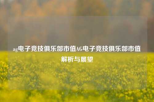 ag电子竞技俱乐部市值AG电子竞技俱乐部市值解析与展望
