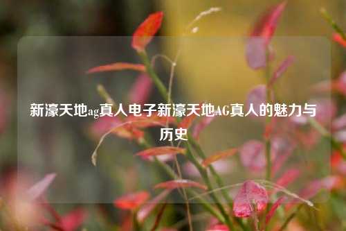 新濠天地ag真人电子新濠天地AG真人的魅力与历史