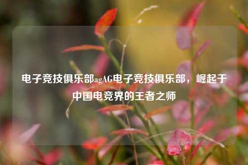 电子竞技俱乐部agAG电子竞技俱乐部，崛起于中国电竞界的王者之师
