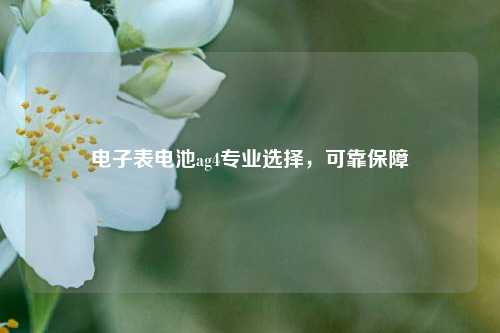 电子表电池ag4专业选择，可靠保障