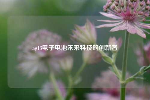 ag13电子电池未来科技的创新者