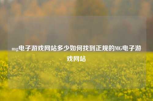 mg电子游戏网站多少如何找到正规的MG电子游戏网站