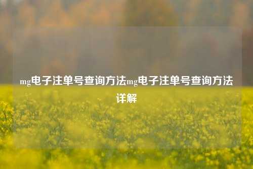 mg电子注单号查询方法mg电子注单号查询方法详解