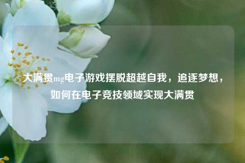 大满贯mg电子游戏摆脱超越自我，追逐梦想，如何在电子竞技领域实现大满贯
