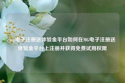mg电子注册送体验金平台如何在MG电子注册送体验金平台上注册并获得免费试用权限