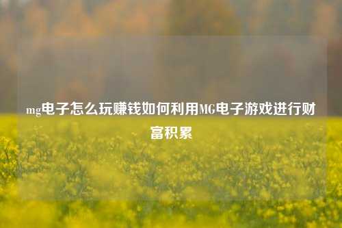 mg电子怎么玩赚钱如何利用MG电子游戏进行财富积累