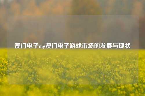 澳门电子mg澳门电子游戏市场的发展与现状