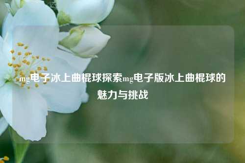 mg电子冰上曲棍球探索mg电子版冰上曲棍球的魅力与挑战