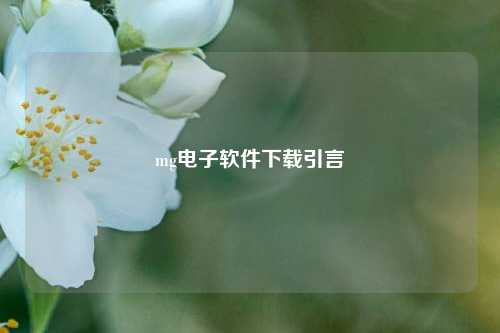 mg电子软件下载引言