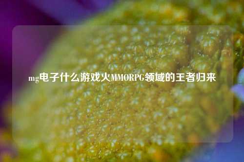 mg电子什么游戏火MMORPG领域的王者归来