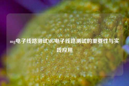 mg电子线路测试MG电子线路测试的重要性与实践应用