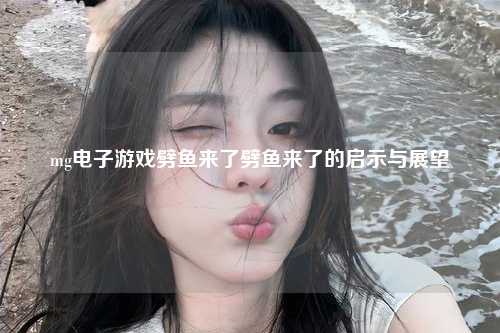 mg电子游戏劈鱼来了劈鱼来了的启示与展望