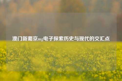 澳门新葡京mg电子探索历史与现代的交汇点