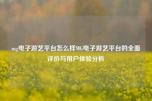 mg电子游艺平台怎么样MG电子游艺平台的全面评价与用户体验分析