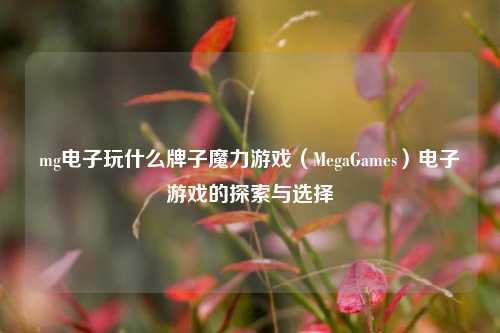 mg电子玩什么牌子魔力游戏（MegaGames）电子游戏的探索与选择