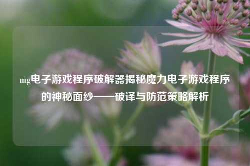 mg电子游戏程序破解器揭秘魔力电子游戏程序的神秘面纱——破译与防范策略解析