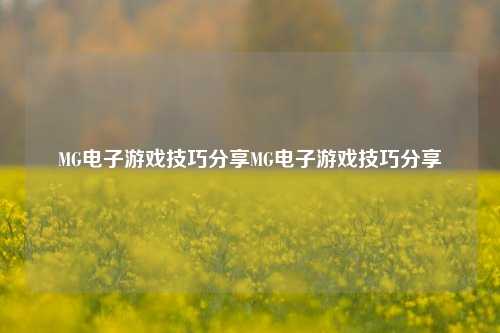 MG电子游戏技巧分享MG电子游戏技巧分享