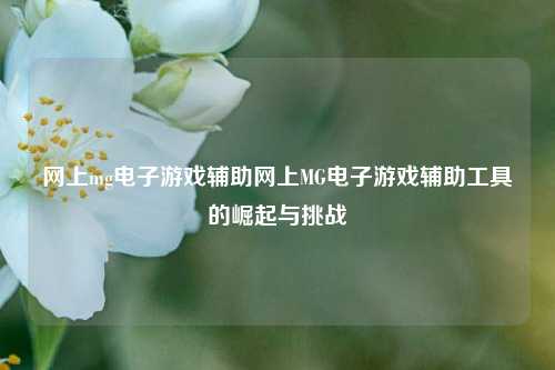 网上mg电子游戏辅助网上MG电子游戏辅助工具的崛起与挑战