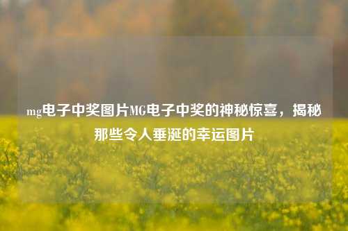 mg电子中奖图片MG电子中奖的神秘惊喜，揭秘那些令人垂涎的幸运图片