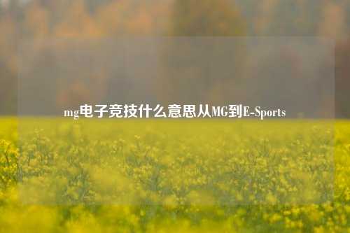 mg电子竞技什么意思从MG到E-Sports