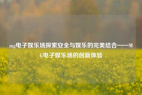 mg电子娱乐场探索安全与娱乐的完美结合——MG电子娱乐场的创新体验