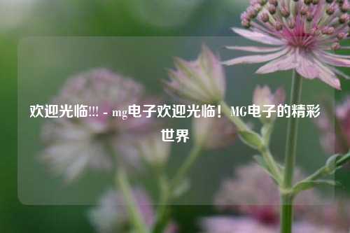 欢迎光临!!! - mg电子欢迎光临！MG电子的精彩世界