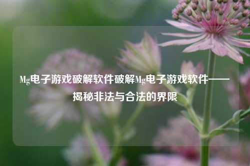Mg电子游戏破解软件破解Mg电子游戏软件——揭秘非法与合法的界限