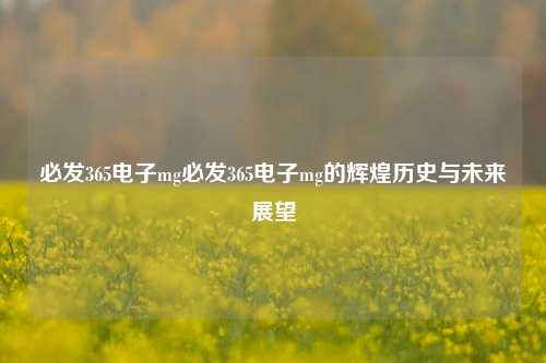 必发365电子mg必发365电子mg的辉煌历史与未来展望