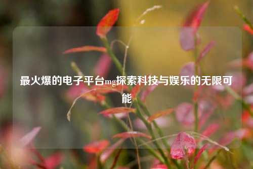 最火爆的电子平台mg探索科技与娱乐的无限可能