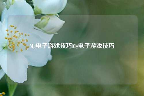 Mg电子游戏技巧Mg电子游戏技巧