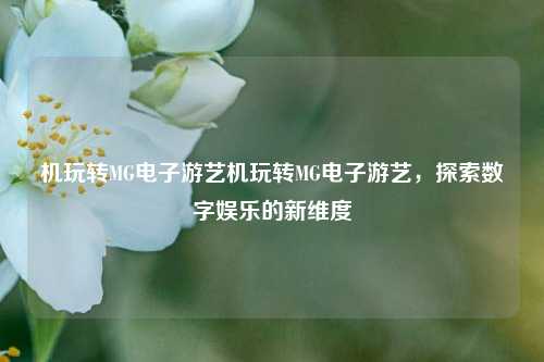 机玩转MG电子游艺机玩转MG电子游艺，探索数字娱乐的新维度