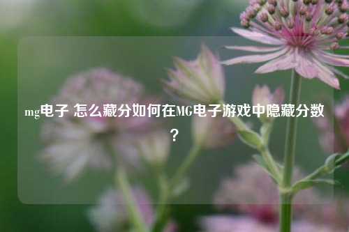 mg电子 怎么藏分如何在MG电子游戏中隐藏分数？