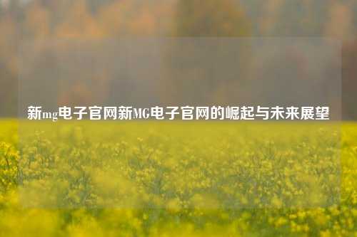 新mg电子官网新MG电子官网的崛起与未来展望