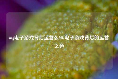 mg电子游戏背后运营么MG电子游戏背后的运营之道