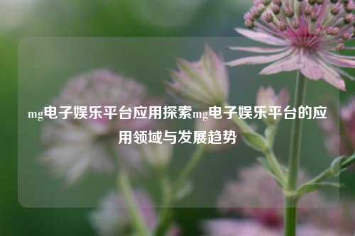 mg电子娱乐平台应用探索mg电子娱乐平台的应用领域与发展趋势
