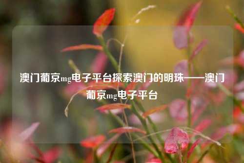 澳门葡京mg电子平台探索澳门的明珠——澳门葡京mg电子平台