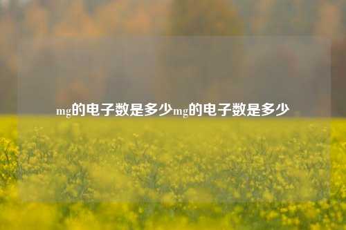 mg的电子数是多少mg的电子数是多少