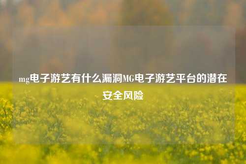mg电子游艺有什么漏洞MG电子游艺平台的潜在安全风险