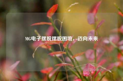 MG电子摆脱摆脱困境，迈向未来