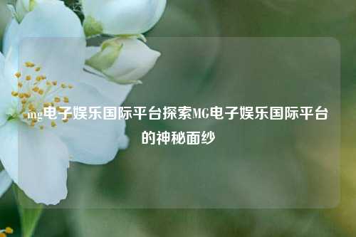mg电子娱乐国际平台探索MG电子娱乐国际平台的神秘面纱