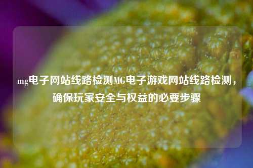 mg电子网站线路检测MG电子游戏网站线路检测，确保玩家安全与权益的必要步骤
