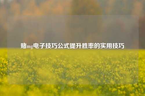 赌mg电子技巧公式提升胜率的实用技巧