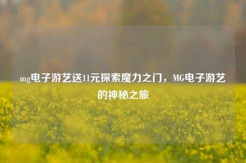 mg电子游艺送11元探索魔力之门，MG电子游艺的神秘之旅