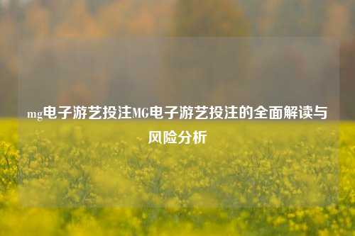 mg电子游艺投注MG电子游艺投注的全面解读与风险分析