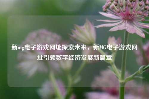 新mg电子游戏网址探索未来，新MG电子游戏网址引领数字经济发展新篇章