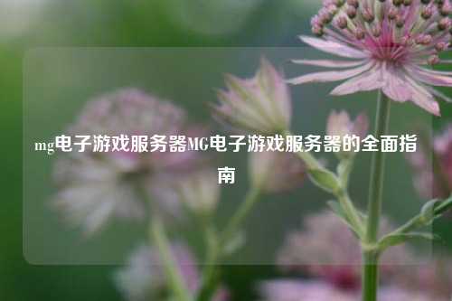 mg电子游戏服务器MG电子游戏服务器的全面指南